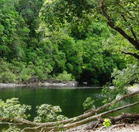 Broadwater Abergowrie State Forest - C Tourism
