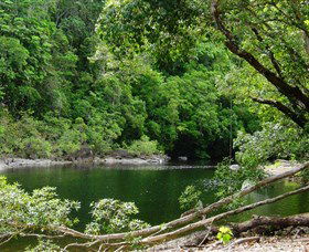 Broadwater, Abergowrie State Forest - C Tourism 0