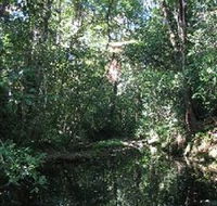 Wabunga Wayemba Charmillan Creek walking track - C Tourism