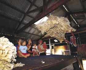 Shear Outback The Australian Shearers Hall Of Fame - C Tourism 0