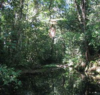 Misty Mountains Wilderness Walking Tracks - C Tourism