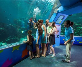 Reef HQ Aquarium - C Tourism 2