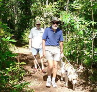 Wongabel State Forest - C Tourism