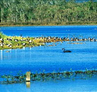 Hasties Swamp National Park - C Tourism