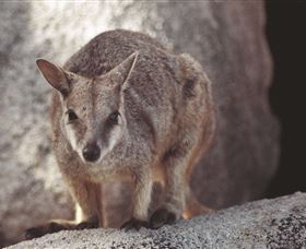 Arcadia At Magnetic Island - C Tourism 2