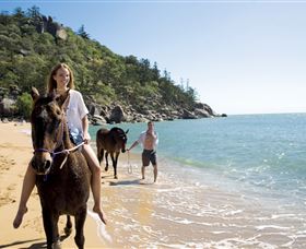 Horseshoe Bay - C Tourism 1
