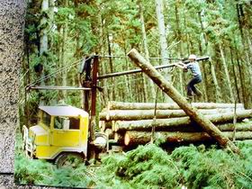 Nangwarry Forestry And Logging Museum - C Tourism 3