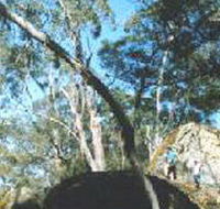 Dergholm State Park - C Tourism