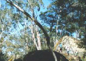 Dergholm State Park - C Tourism 0