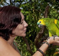 Birdworld Kuranda - C Tourism