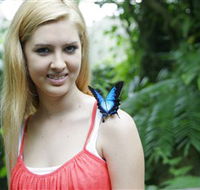 Australian Butterfly Sanctuary - C Tourism