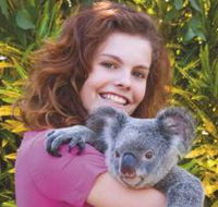 Kuranda Koala Gardens - C Tourism
