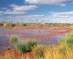 Adventure Way - C Tourism 3