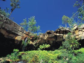 Blackdown Tableland National Park - C Tourism 1