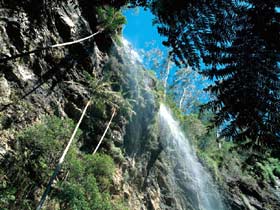 Blackdown Tableland National Park - C Tourism 2