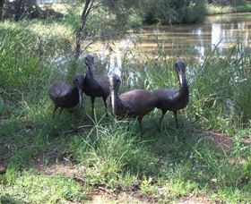East Tolans Farm Tour - C Tourism 0