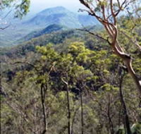 Crediton State Forest - C Tourism