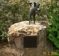 Dingo Statue - C Tourism