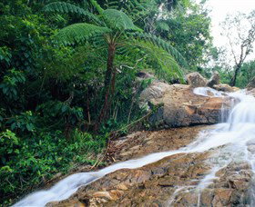 Finch Hatton Gorge - C Tourism 0