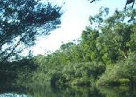 Crawford River Regional Park - C Tourism 0