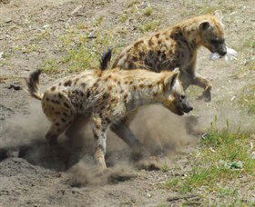 Altina Wildlife Park - C Tourism 0
