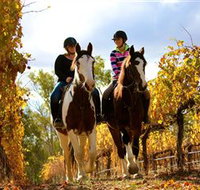 Billabong Ranch - C Tourism