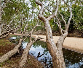 Oyala Thumotang National Park (CYPAL) - C Tourism 0