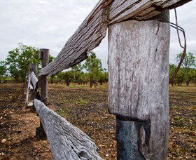 Oyala Thumotang National Park (CYPAL) - C Tourism 1
