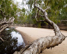 Oyala Thumotang National Park (CYPAL) - C Tourism 3