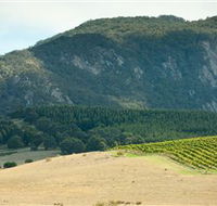 Langi Ghiran State Park - C Tourism
