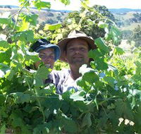 Wimmera Hills Winery - C Tourism
