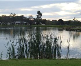 Luke Park - C Tourism 2