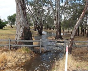 Mackereth's Hedon Farm - C Tourism 2