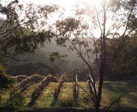 Mountainside Wines - C Tourism 3