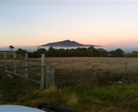 Mountainside Wines - C Tourism 2