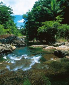 Cedar Creek Falls - C Tourism 1