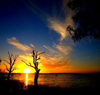 Lake Cowal - C Tourism