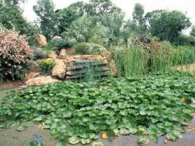 Duaringa ACT C Tourism