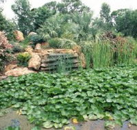 Mackenzie Park - C Tourism