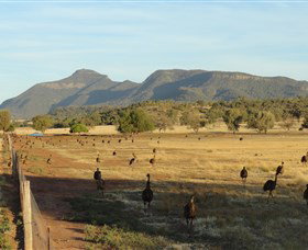 Tooraweenah NSW C Tourism