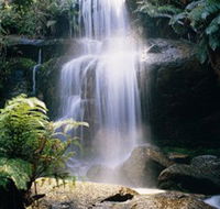 Mount Buangor State Park - C Tourism