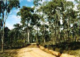 Paddys Ranges State Park - C Tourism 0