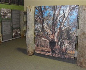 Barmah Forest Heritage And Education Centre - C Tourism 2