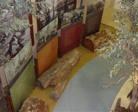 Barmah Forest Heritage And Education Centre - C Tourism 4