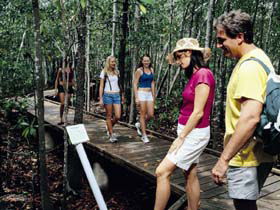 Hibiscus Coast - C Tourism 3