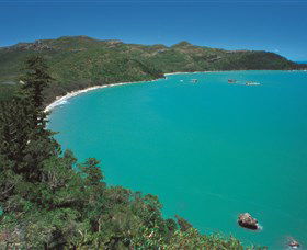 Hibiscus Coast - C Tourism 2