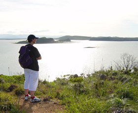 Hibiscus Coast - C Tourism 1