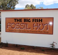 Big Fish Fossil Hut at Peak Hill - C Tourism