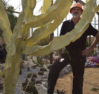 Cactus Country - C Tourism