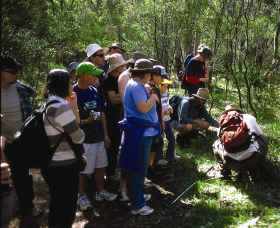 Warrumbungle National Park Discovery Program - C Tourism 0